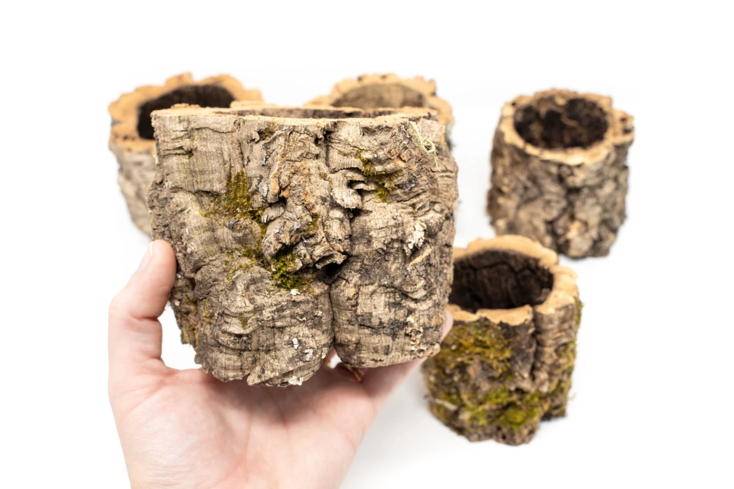 Natural Cork Bark Planters 5 Natural Cork Bark Planters - Image 5