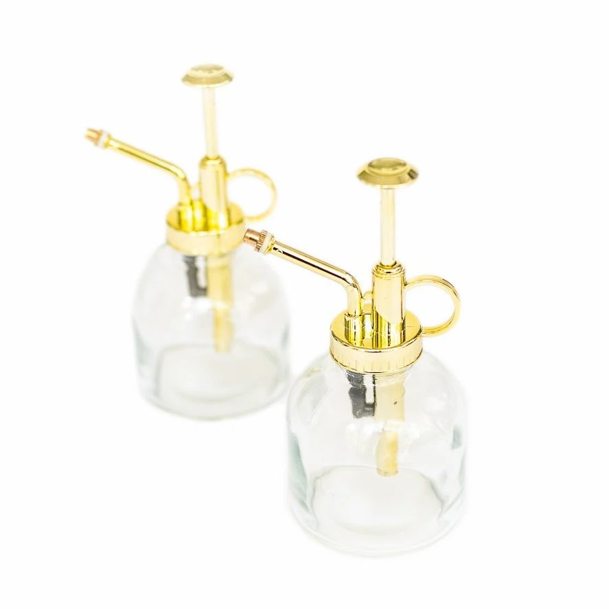 Tillandsia Air Plant Mister 5 Tillandsia Air Plant Mister - Image 5