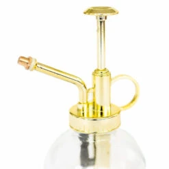 Tillandsia Air Plant Mister 7 Tillandsia Air Plant Mister -Air plant supply co. supplyairplantmister4